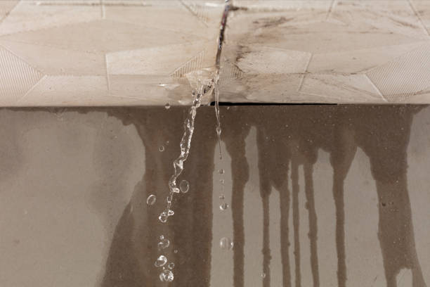 Professional Water Damage Repair technician working in Wadley, AL
